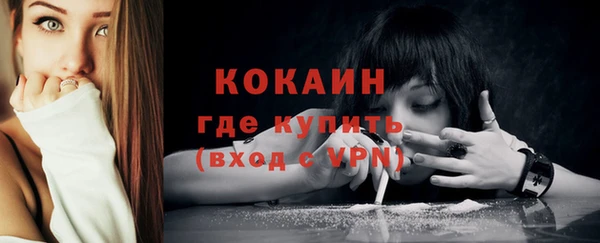 a pvp Каменногорск