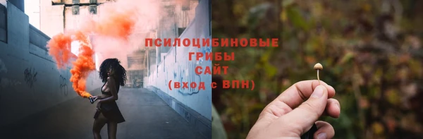 a pvp Каменск-Шахтинский